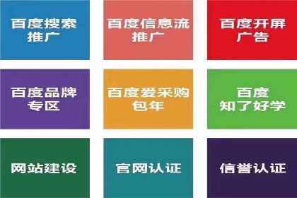 百度推广实战攻略：案例与策略